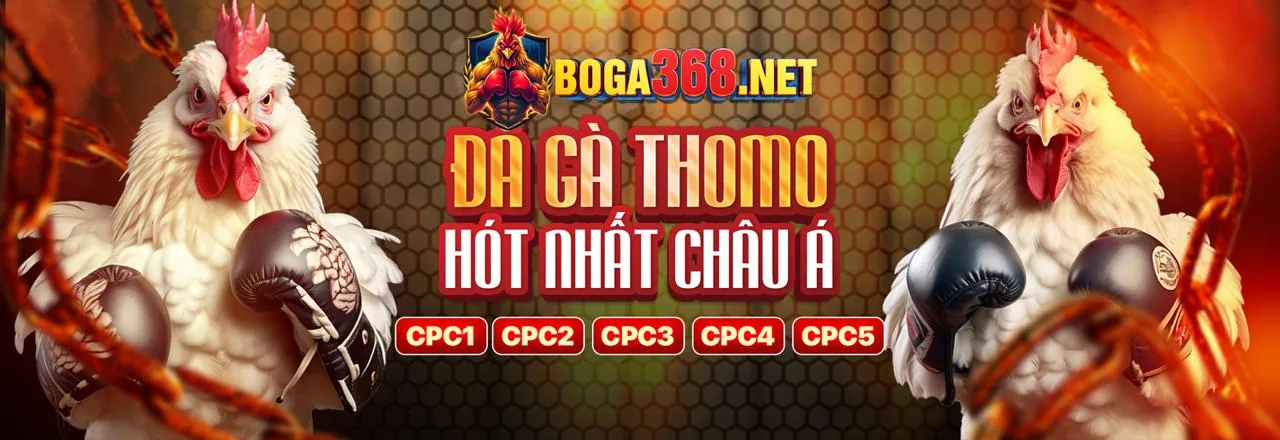 Các Loại Hình Đá Gà wi55 win